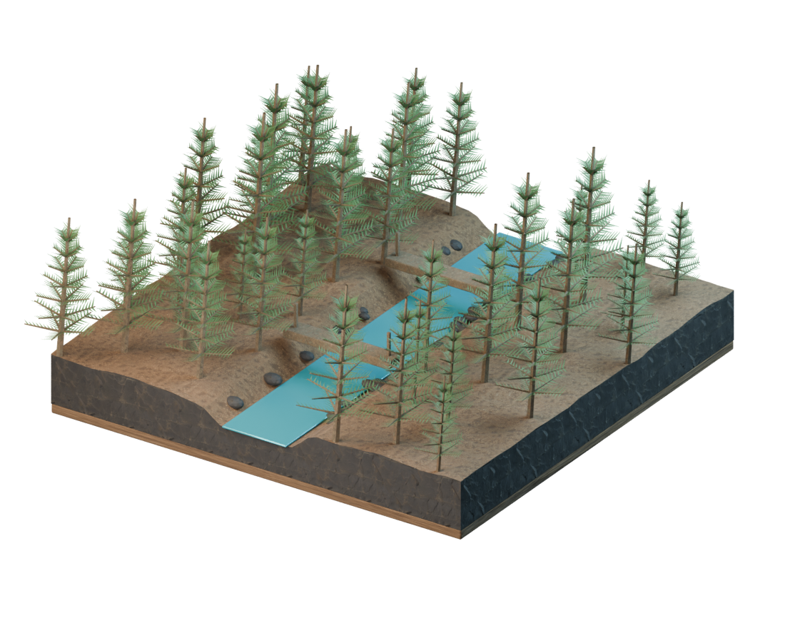 Canopy (3D scene), a still from the 3D scene